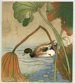 Unknown: Mallard and Lotus Leaves - Artelino
