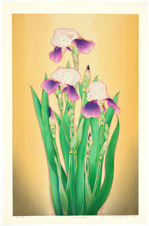 Okamoto Ryusei: German Iris - Artelino