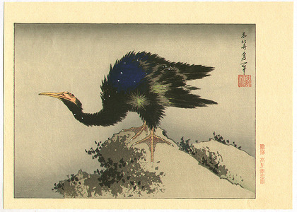 Katsushika Hokusai: Cormorant - Artelino