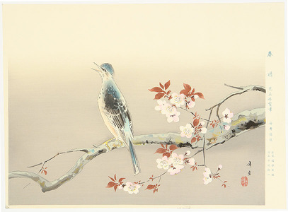 Kodama Kibo: Bulbul on Cherry branch - Artelino