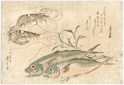 歌川広重: Fish and Prawns - Artelino
