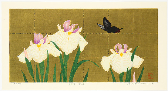Okamoto Ryusei: Iris - Artelino
