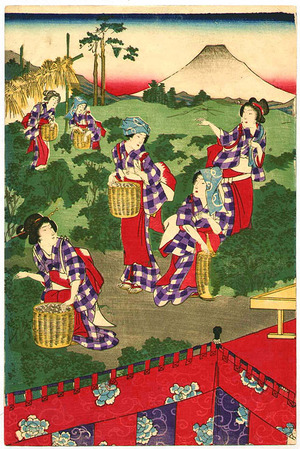 Toyohara Chikanobu: Tea Harvest - Artelino