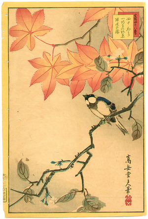 Nakayama Sugakudo: Bird and Maple - Artelino