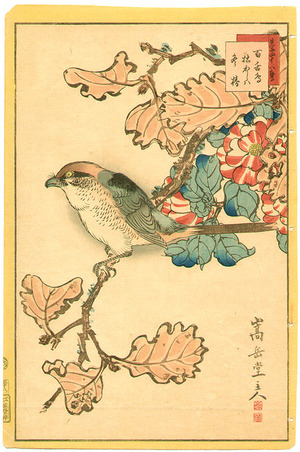 Nakayama Sugakudo: Bird and Flowers - Artelino