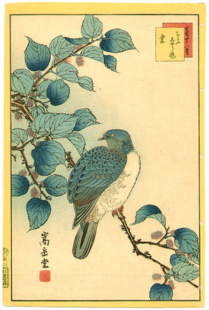 Nakayama Sugakudo: Bird and Flowers - Artelino
