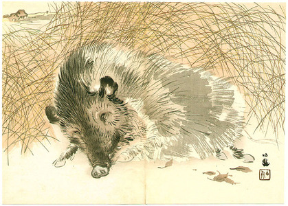 Takeuchi Seiho: Wild Boar - Artelino