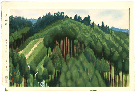 Yamamoto Koun: Cedar Forest at Kitayama - Artelino