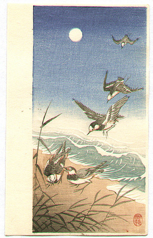 小原古邨: Birds Landing on a Seashore - Artelino