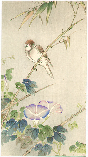 Unknown: Sparrow and Morning Glories - Artelino