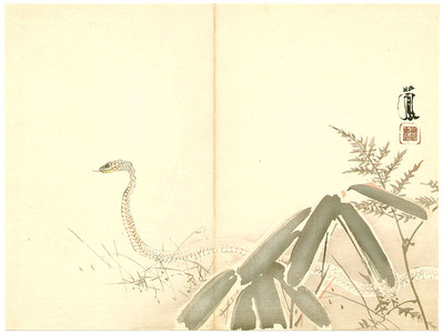 Takeuchi Seiho: Snake - Artelino