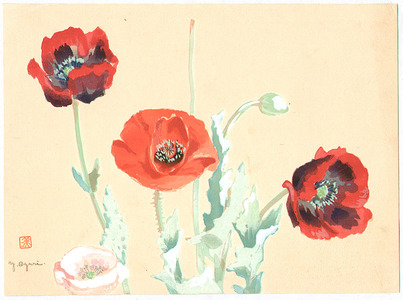 Oguri Yoji: Poppies - Artelino