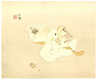 Takeuchi Seiho: Two Baby Ducks - Artelino