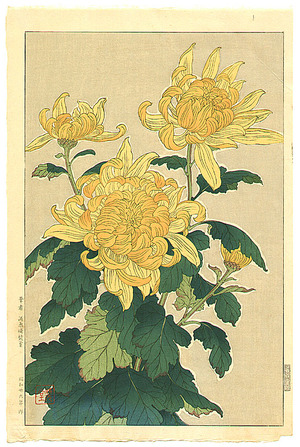 Kawarazaki Shodo: Yellow Chrysanthemum - Artelino