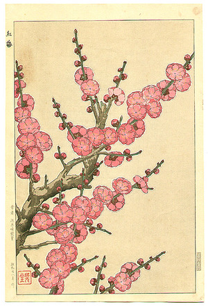 Kawarazaki Shodo: Red Plum Blossoms - Artelino