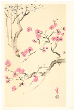 Takeshita Kin-u: Cherry Blossom - Artelino