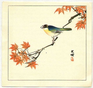 Iijima Koga: Bird on Red Maple - Artelino
