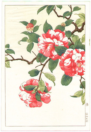 Nishimura Hodo: Camellia - Artelino