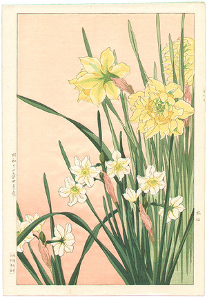 Nishimura Hodo: Daffodils - Artelino