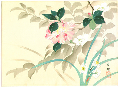 日本版画 "Camellia and White Daffodils" 由 Unknown, 無款 (null) 创作