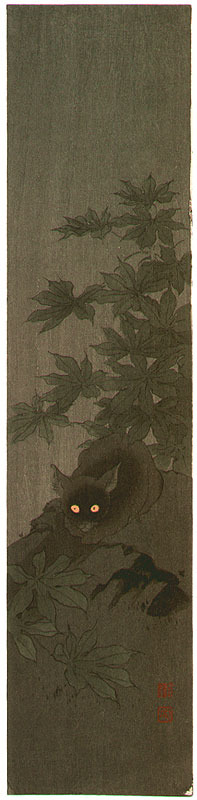 Koho: Black Cat at Night - Artelino