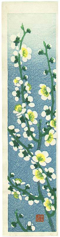 Kasamatsu Shiro: Flower of All Seasons - Artelino
