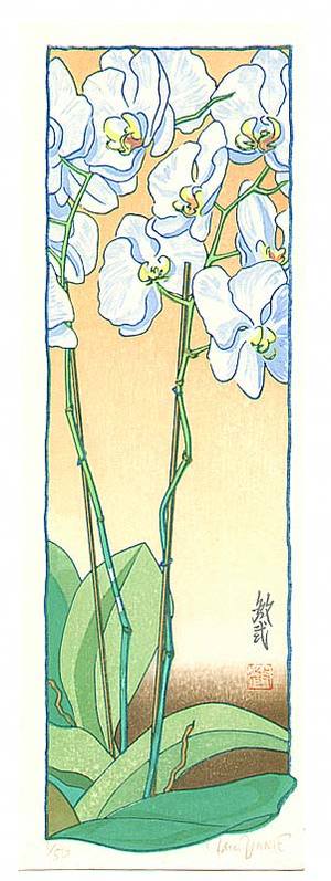 Paul Binnie: Orchid Morning - Artelino