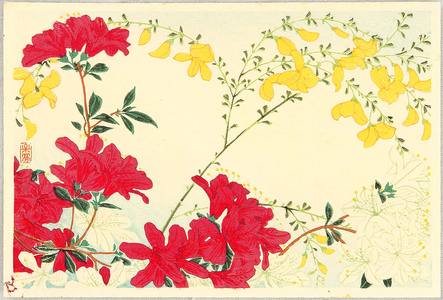 Takahashi Hiroaki: Azalea and Yellow Flowers - Artelino