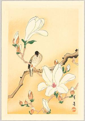 Watanabe Seitei: Bird on Magnolia - Artelino