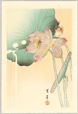 Watanabe Seitei: Songbird and Lotus Flower - Artelino