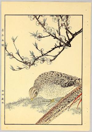今尾景年: Chinese Pheasants - Keinen Gafu - Artelino