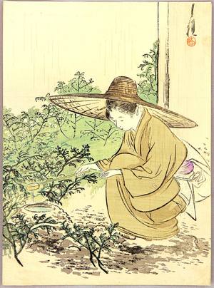Ogata Gekko: Preparing Tea Ceremony - Artelino
