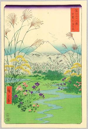 Utagawa Hiroshige: Ohtsuki Plain - Thirty-six Views of Mt.Fuji - Artelino