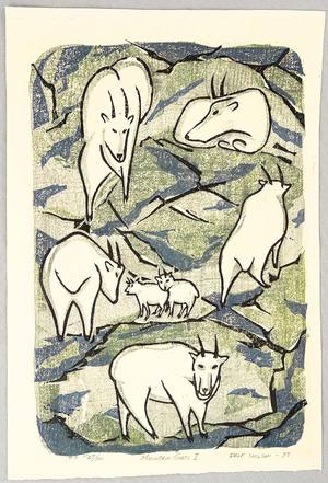 Unknown: Mountain Goats - I - Artelino