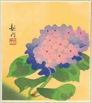 Unknown: Hydrangea - Artelino