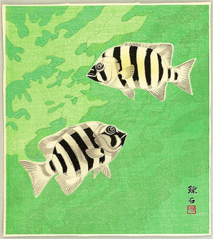 Unknown: Striped Fish - Artelino