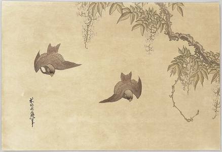 Katsushika Hokusai: Birds and Wisteria - Artelino