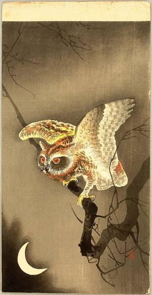 Ohara Koson: Owl and Crescent Moon - Artelino