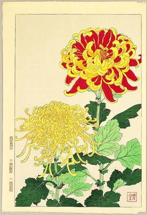 Kawarazaki Shodo: Chrysanthemums - Artelino