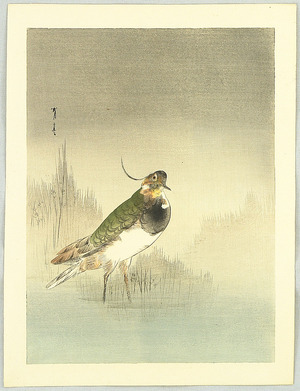 Watanabe Seitei: Green Waterfowl - Artelino