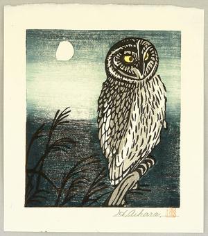 Unknown: Owl - Artelino