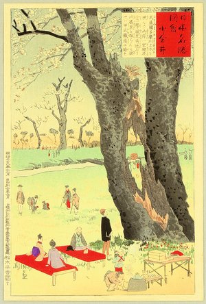 Kobayashi Kiyochika: Koganei - Views of the Famous Sights of Japan - Artelino