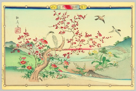 Utsushi Rinsai: Hawk and Red Plum - Artelino