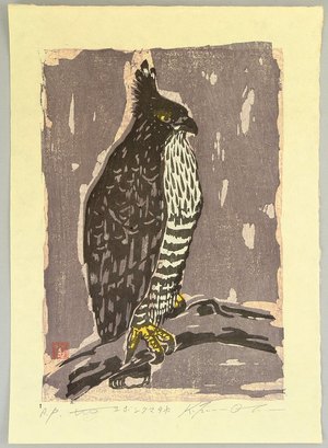 Unknown: Long-crested Eagle - Artelino