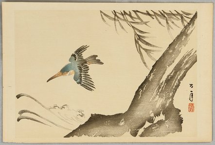 Unknown: Kingfisher over Waves - Artelino