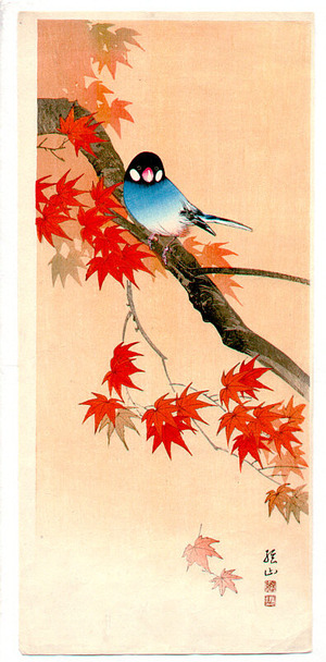 Ito Sozan: Blue bird on maple tree - Artelino