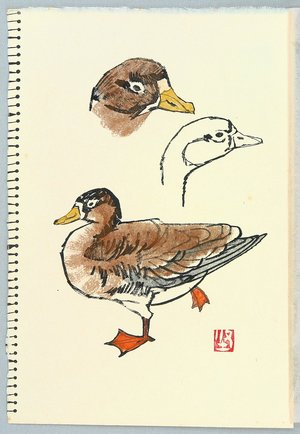 Unknown: Sketch of Birds - Artelino