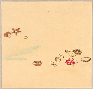 Unknown: Seashells and Seastars - Artelino