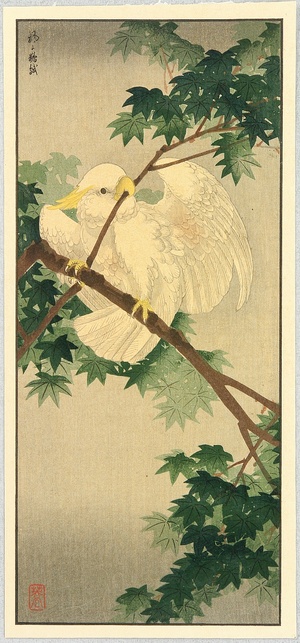 Unknown: Maple and Cockatoo - Artelino