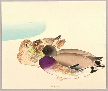 Ota Saburo to Attributed: Mallard Ducks - Artelino